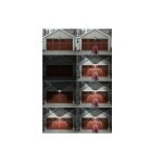 Ηλιακός Προβολέας με Αισθητήρα Κίνησης και Τηλεχειριστήριο σε Μαύρο χρώμα AT00010634 - Image 6