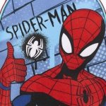 Cerda Σχολική Τσάντα Πλάτης Νηπιαγωγείου Spiderman σε Μπλε-Κόκκινο χρώμα Μ22 x Π10 x Υ29εκ - Image 10