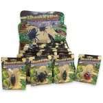 Freaky Bugs κινούμενα έντομα μπαταρίας 12x17.5cm - Image 4