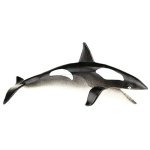 Σετ παιχνιδιών Θαλάσσιος Κόσμος - 5 τεμάχια - Image 5