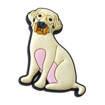 Αξεσουάρ για Διακόσμηση Παπουτσιών Crocs σχέδιο Σκυλί Λαμπραντόρ