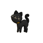 Αξεσουάρ για Διακόσμηση Παπουτσιών Crocs σχέδιο Γάτα Μαύρη