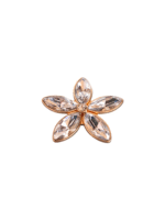 Μεταλλικό Αξεσουάρ για Διακόσμηση Παπουτσιών Crocs σχέδιο Crystal Rhinestone Flowers Leaf - Image 2