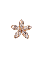 Μεταλλικό Αξεσουάρ για Διακόσμηση Παπουτσιών Crocs σχέδιο Crystal Rhinestone Flowers Leaf