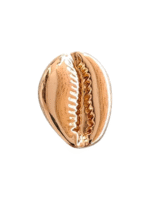 Μεταλλικό Αξεσουάρ για Διακόσμηση Παπουτσιών Crocs σχέδιο Κοχύλι Μεταλλικό Χρυσό